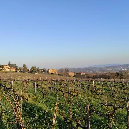 Bagnols - Les Meubles Des Pierres Dorees * Theize