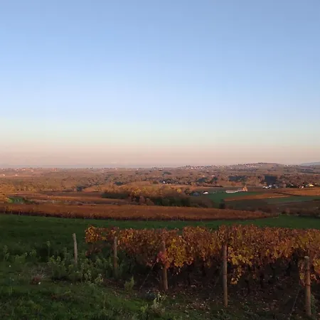 Bed & Breakfast Bagnols - Les Meubles Des Pierres Dorees *